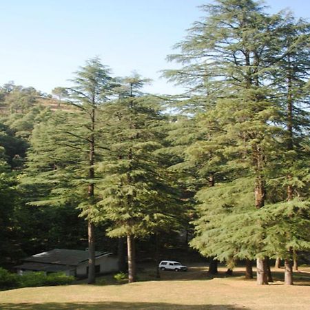 Benog Pines Cottages By Royal Collection Hotels And Resorts Mussoorie Exterior photo