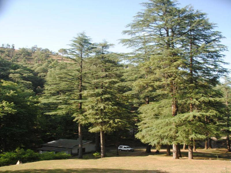 Benog Pines Cottages By Royal Collection Hotels And Resorts Mussoorie Exterior photo